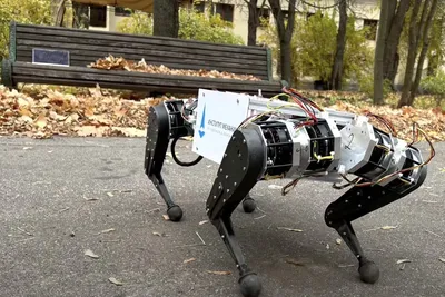 FP: США отправят Украине робопса от Boston Dynamics для разминирования  Киевщины