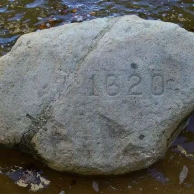 Plymouth Rock | See Plymouth
