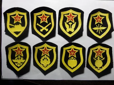 ОБЖ в ПРУ - 4.4. Организационная структура Вооруженных сил Российской  Федерации.