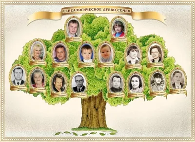 Картинки генеалогическое древо семьи (41 фото) » Картинки, раскраски и  трафареты для всех - Klev.CLUB