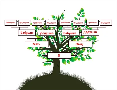 Генеалогическое древо семьи» - Скачать шаблон | Раннее развитие