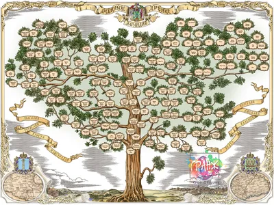 Генеалогическое древо семьи с крестьянскими корнями из Центральной России