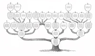 Генеалогическое дерево картинки - 67 фото