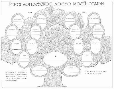 Генеалогическое древо семьи» - Скачать шаблон | Раннее развитие