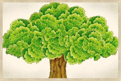 Родословное дерево рисунок карандашом (22 шт)