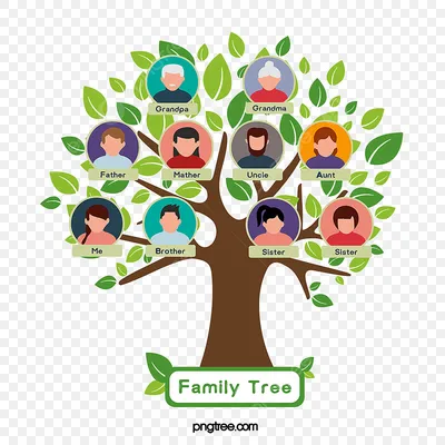 Фамильное дерев дерево с портретами родственников, иллюстрация вектора родословного  дерева Иллюстрация вектора - иллюстрации насчитывающей родословно,  соединение: 94670783