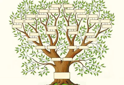 Родословное дерево с висящими головами PNG , генеалогическое дерево,  аватар, генеалогическое древо с висящей головой PNG картинки и пнг рисунок  для бесплатной загрузки