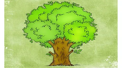 Примеры оформления родословного дерева
