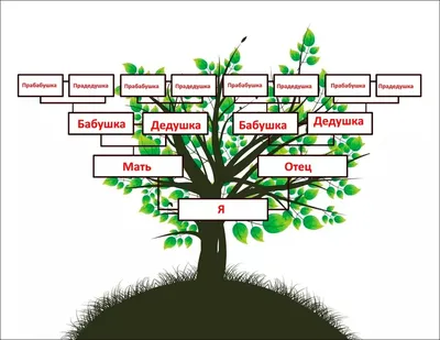 Родословное дерево: 30 шаблонов для заполнения
