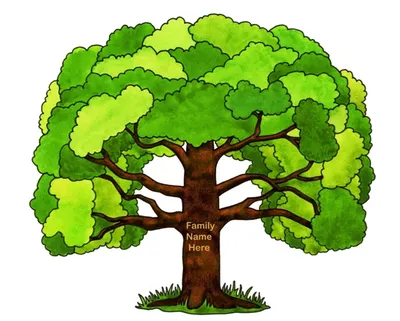 Родословное дерево» — создано в Шедевруме