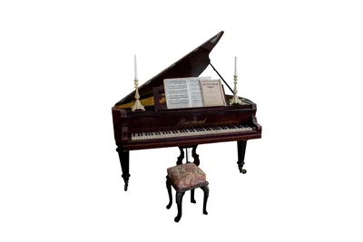 Для нужд Даугавпилсского дворца культуры купят белый рояль за 94 215 евро