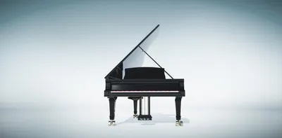 Рояль – король музыкальных инструментов - Pakhotin