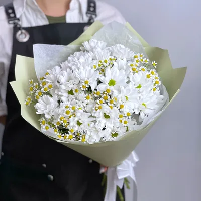 Букет цветов Композиция из Ромашки и Гипсофилы «Нежная Любовь» с доставкой  | СтудиоФлористик