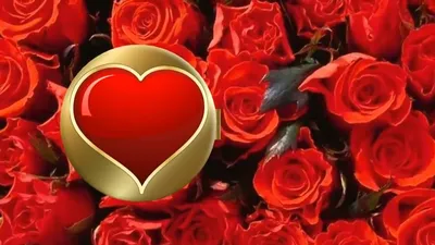 Букет из шоколадных роз \"Вкус Любви\" в корзинке тюльпаны, ромашки подарок  любимой, девушке, жене в праздник День Всех Влюбленных 14 февраля. - купить  с доставкой по выгодным ценам в интернет-магазине OZON (1146379431)