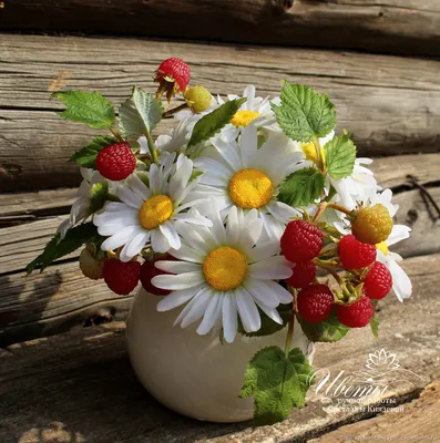 Ромашки #ромашка #цветок #природа #растение #ракурс #трава… | Flickr