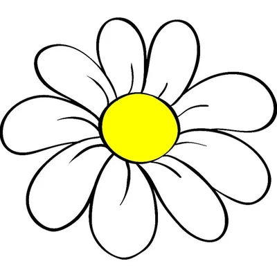 ромашка цветок картинка для детей - Поиск в Google | Ромашки, Цветок, Цветы