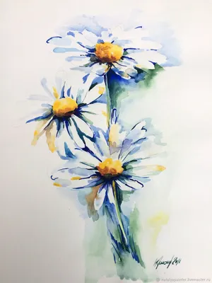 Картинка Цветы ромашка