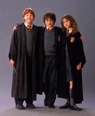 Portrait of Ron Weasley, Harry Potter and Hermione Granger — Harry Potter  Fan Zone