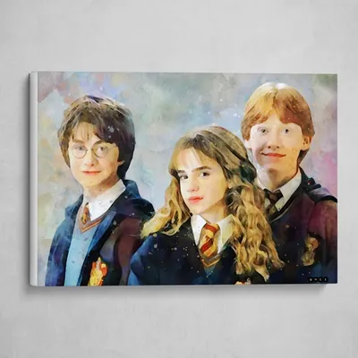 Harry Potter, Ron Weasley, and Hermione Granger | Harry potter portraits,  Harry potter art drawings, Harry potter painting