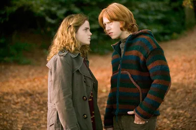 Ron and Hermione's top ten wittiest tiffs | Wizarding World