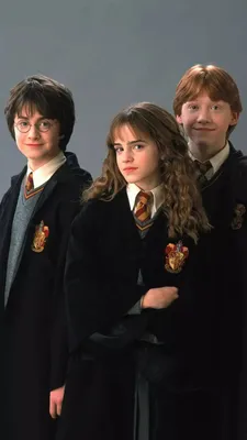 hermione granger and ron weasley- half- blood prince | Harry potter  obsession, Harry potter, Harry and hermione