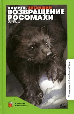Может одолеть даже матерого медведя: на Урале живет вторая в мире росомаха,  прирученная человеком - KP.RU