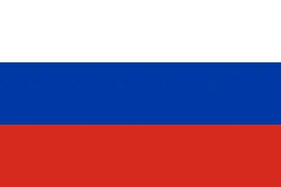 Не только за страх, но и за совесть»: в каких случаях за использование флага  России можно получить штраф — Деловая Газета.Юг