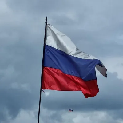 22 августа в России отметят День российского флага | РИА «Стрела»
