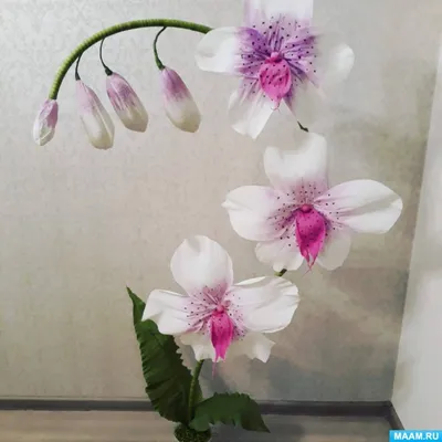 Мастер класс ростовые цветы в Красноярске. Цветы из бумаги