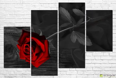 Красная роза на черном фоне | Премиум Фото