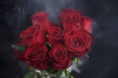 Обои на рабочий стол Красные розы на черном фоне, обои для рабочего стола,  скачать обои, обои бесплатно