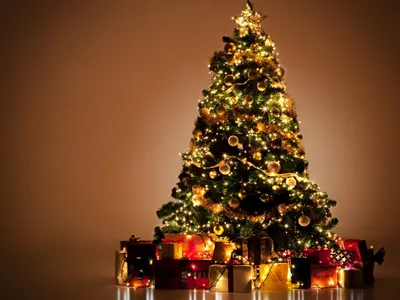 История рождественской елки | Мoя Франция
