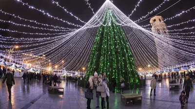Названа самая красивая рождественская елка Европы - РИА Новости, 04.12.2020