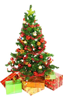 Новогодняя ёлка PNG | Рождественская елка, Рождественские обои,  Рождественские идеи