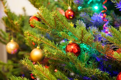 Рождественская ёлка по-чешски — Подебрады.ру