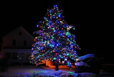 Новогодняя елка Искусственная елка Новогоднее украшение, елка, праздники,  декор, новогоднее украшение png | Klipartz