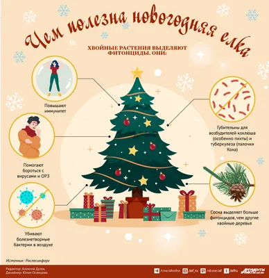 Новогодняя елка: 5 оригинальных идей украшения главного символа Нового года  - 7Дней.ру