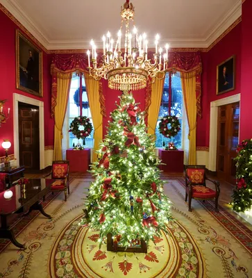 Рождественская елка на белом фоне Stock Photo | Adobe Stock