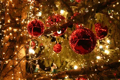 Обои Christmas Праздничные Шары, обои для рабочего стола, фотографии  christmas, праздничные, шарики, украшения, елка, рождество Обои для рабочего  стола, скачать обои картинки заставки на рабочий стол.