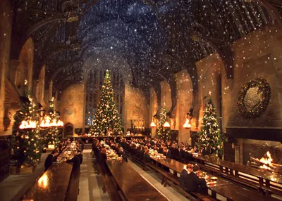 Обои на рабочий стол Рождество в мире Гарри Поттера. Дети собрались за  праздничным столом возле елки, обои для рабочего стола, скачать обои, обои  бесплатно