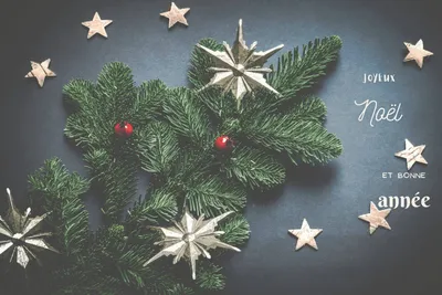 Время чудес: Рождественские традиции - Журнал ELITE Interior