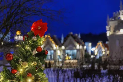 Рождественская ночь, Christmas дерево на зимнем фоне, Декоративные  рождественские обои, художественная иллюстрация изображена Иллюстрация  штока - иллюстрации насчитывающей гирлянда, случай: 164954236