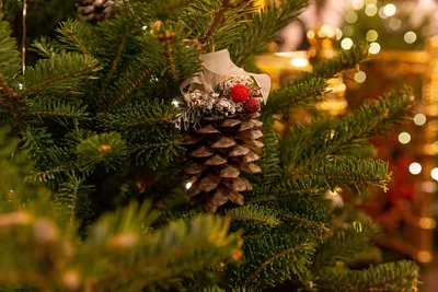 7 января – Рождество Христово - Новотроицк: Ntsk.ru