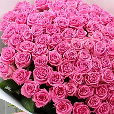Купить букет из 51 бело-розовой розы Джумилия (Jumilia) с доставкой по  Минску