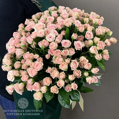 51 нежно-розовые розы 40 см Кения- купить в СПб с доставкой в интернет  магазине \"Цветочкин\"