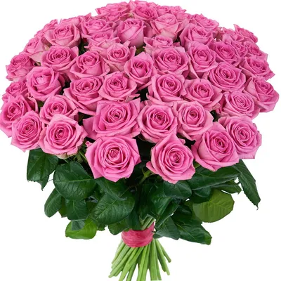 Кустовая пионовидная роза купить с доставкой по Томску: цена, фото, отзывы.