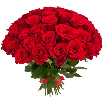 Букет розовых роз | Купить в Новосибирске с бесплатной доставкой