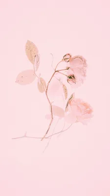 Фотообои Розовые цветы обои на стену купить в Москве, Арт. 9-088 в  интернет-магазине, цены в Мастерфресок