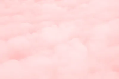 Розовый фон Бумажный в рулоне 11м Х 2,72м от Kelly Photo США (id 89988414),  купить в Казахстане, цена на Satu.kz