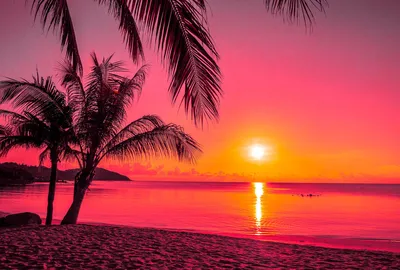 Фотообои HARMONY Decor Розовый закат на море, 400 x 270 см - купить по  выгодной цене в интернет-магазине OZON (660587406)